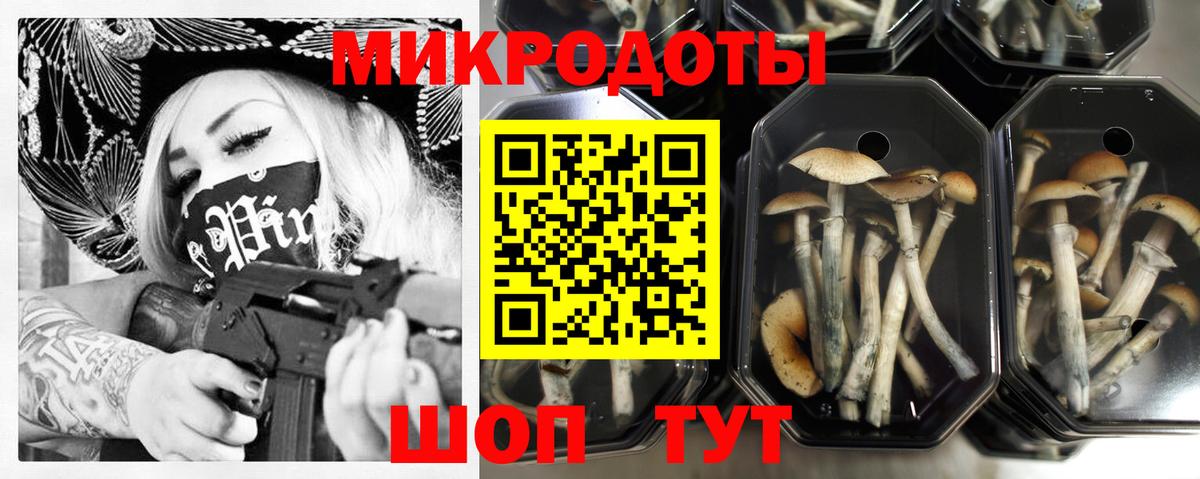 Псилоцибиновые грибы MAGIC MUSHROOMS  цена наркотик  Белорецк  Вход с VPN  Псилоцибиновые грибы GOLDEN TEACHER 